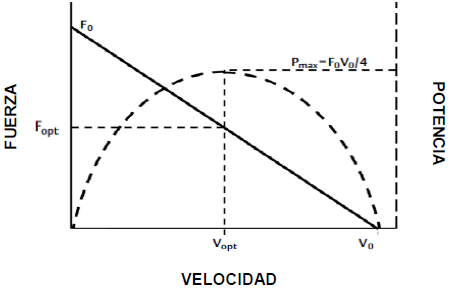 FVIMB(%)